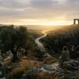 El deber de discernir